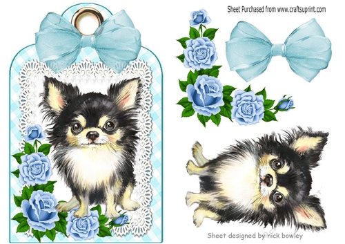 Cute Chichuhua with blue roses and bow on a lace tag/topper
