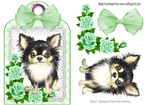 Cute Chichuhua with green roses and bow on a lace tag/topper
