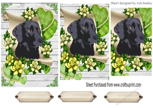 Lovely black labrador on a scroll with green roses pyramids