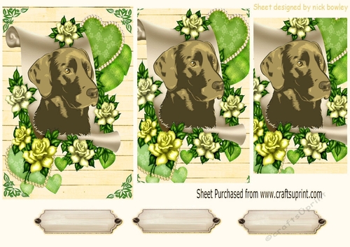 Lovely brown labrador on a scroll with green roses pyramids