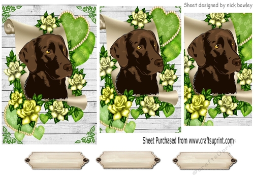 Lovely chocolate labrador on a scroll with green roses pyramids