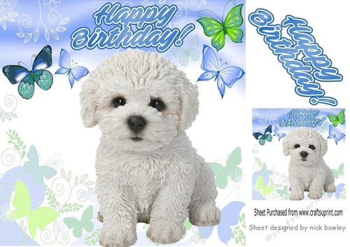 cute bichon white puppy with butterflies (three) 8x8