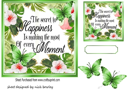 pretty floral painted 7x7 with green butterflies card fronts