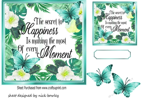 pretty floral painted 7x7 with turq butterflies card fronts
