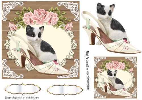 Pretty vintage shoe with kitten roses and lace card front 7x7