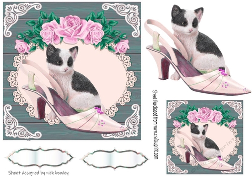 Pretty vintage shoe with kitten pink roses and lace card front 7x7