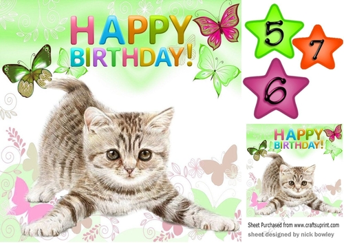 Cute little kitten with green butterflies 8x8