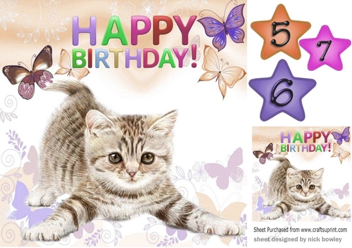 Cute little kitten with peach butterflies 8x8