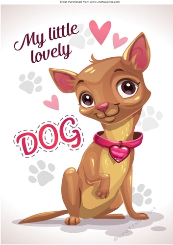 Cute little chihuhua puppy A4
