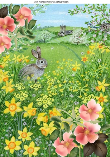 pretty countryside with rabbit and daffodils A4