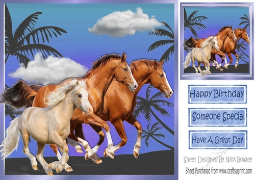 Beautiful horses with blue sky and palm trees 8x8