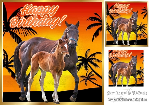 lovely horses with sunset and palm trees 8x8