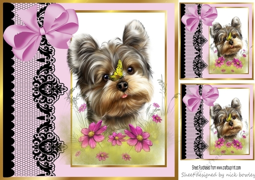 Pretty pink black lace border window 8x8 frame with yorkie