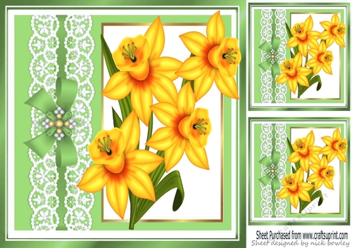  yellow daffodils with lace and bow with window 8x8 card front frame