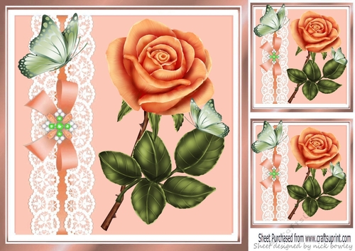 Pretty peach rose with butterflies and lace 8x8