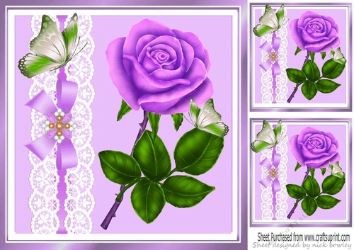 Pretty purple rose with butterflies and lace 8x8