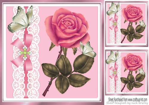 Pretty pink rose with butterflies and lace 8x8
