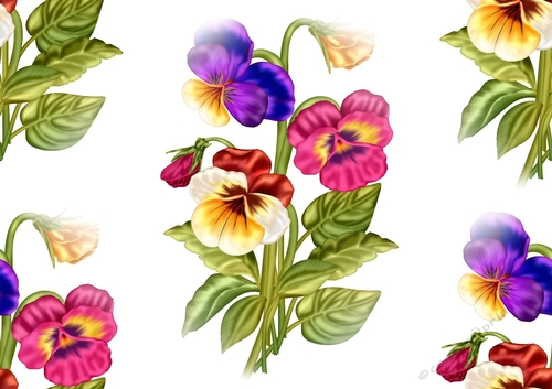 pretty coloured pansies (LARGE) Backing paper
