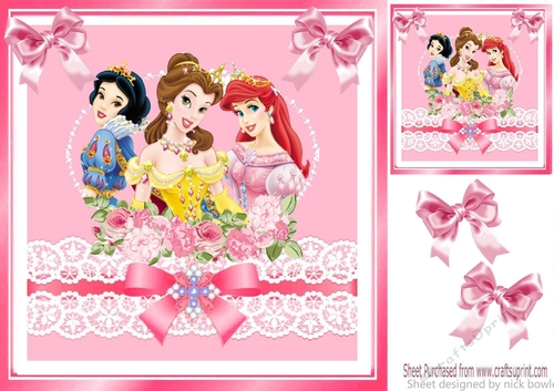 Pretty princesses with pink bows and lace 8x8
