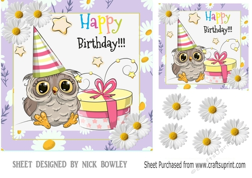Cute Owl with white daisies in purple daisy frame 7x7