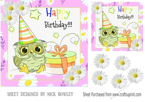 Cute Owl with white daisies in pink daisy frame 7x7