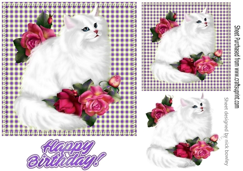 pretty white persian cat with pink roses 7x7 card front (purple)