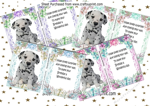 4 Cute Dalmations with flowers A5 Toppers and inserts card fronts mini kit
