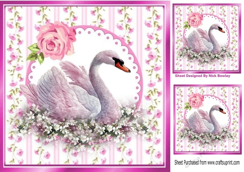 Pretty pink flower borders and lace with swan 8x8 card front