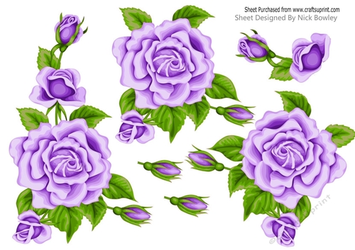 Pretty A5 Lilac Rose Cut out
