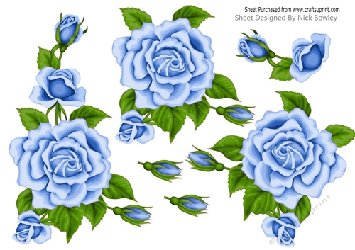 Pretty A5 Blue Rose Cut out