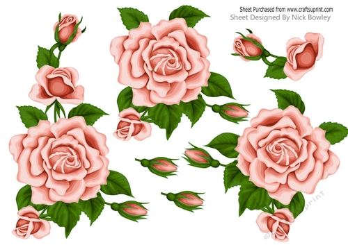 Pretty A5 Peach Rose Cut out