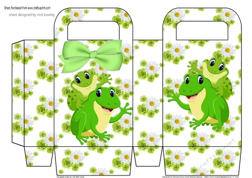 Pretty daisy and roses small gift bag with frogs 