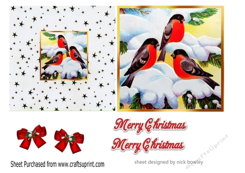 Lovely little birds in the snow 5X5 quick cut and fold