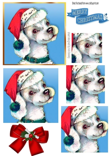 Lovely little dog in santa hat pyramids 