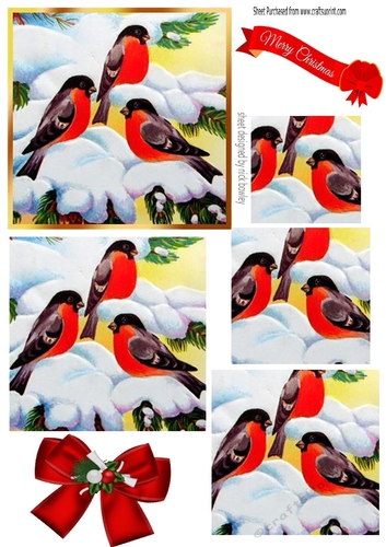 Lovely little birds in the snow in pyramids