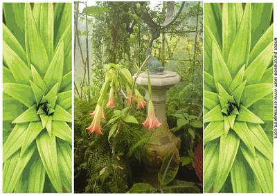 Gatefold of a Tropical Garden with Sun Dial