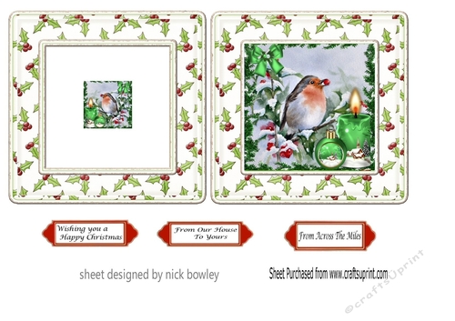 Lovely robin with baubles in festive frame 5x5