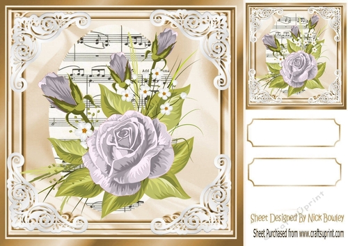 pretty silver roses on music in ornate frame 8x8