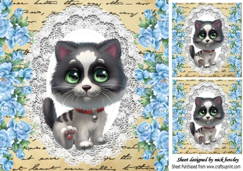 Pretty blue roses, lace and cute kitty 8x8