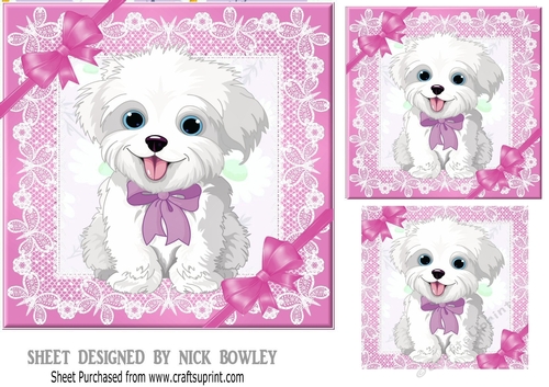 cute puppy with pink bows and lace 7x7