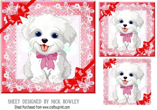 cute puppy with red bows and lace 7x7
