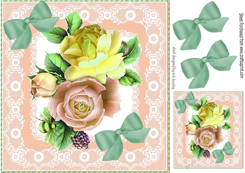 Pretty roses in peach lace 8x8 frame