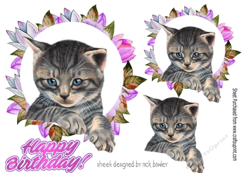 cute kitten in flower frame 