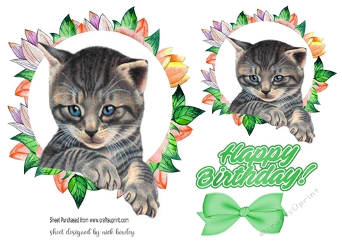 cute kitten in flower frame with green bow