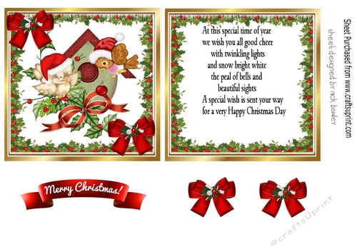 pretty little birds in a festive 5x5 frame/insert