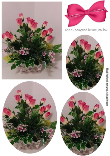 Pretty pink roses arragements in planter oval pyramids