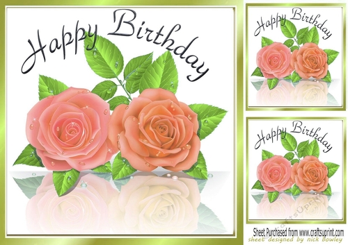 Simplicity! Reflection of Just Peach Roses 8X8