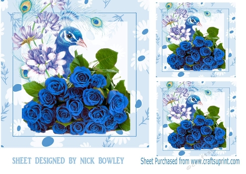 Pretty water colour peacock with blue roses 7x7