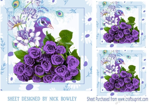 Pretty water colour peacock with purple roses 7x7