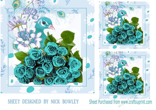 Pretty water colour peacock with turq roses 7x7